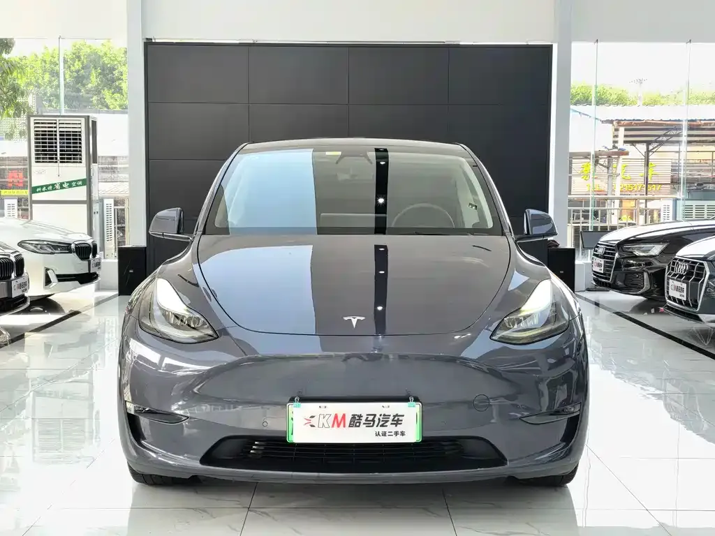Tesla Model Y 2021 из CN, фото 2