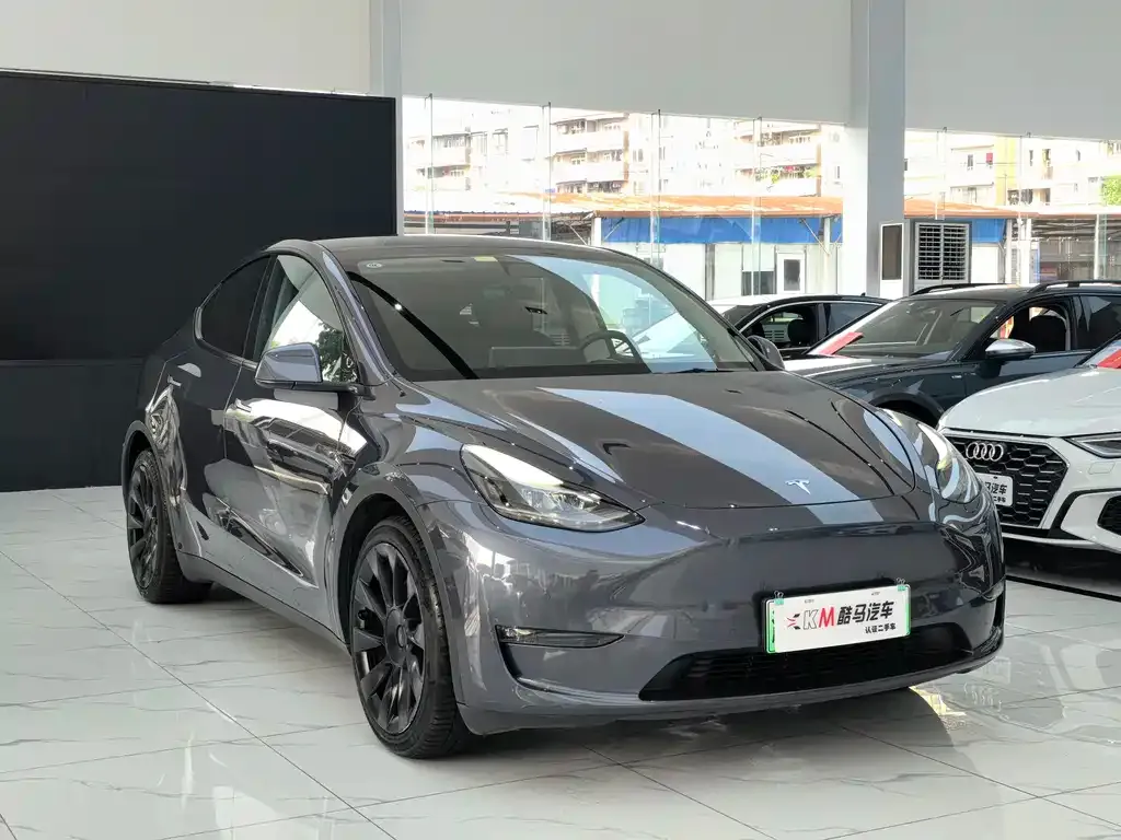 Tesla Model Y 2021 из CN, фото 3