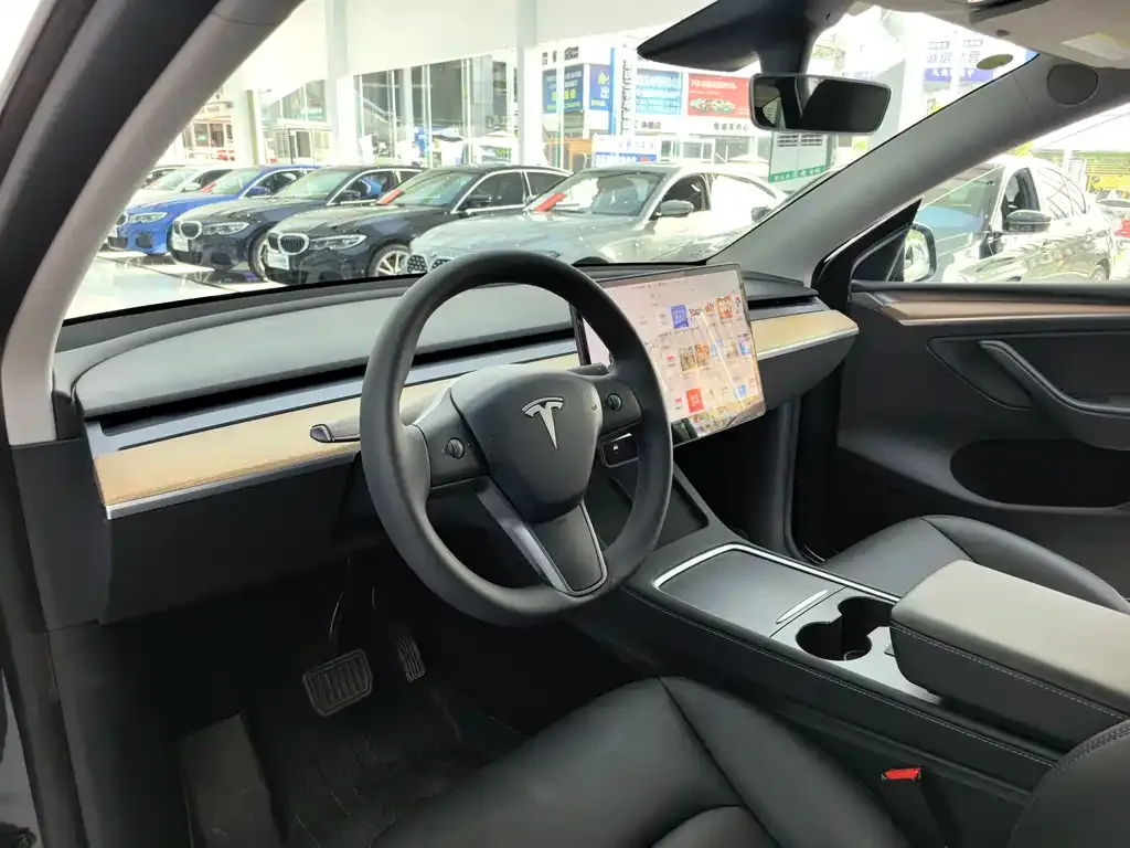 Tesla Model Y 2021 из CN, фото 4