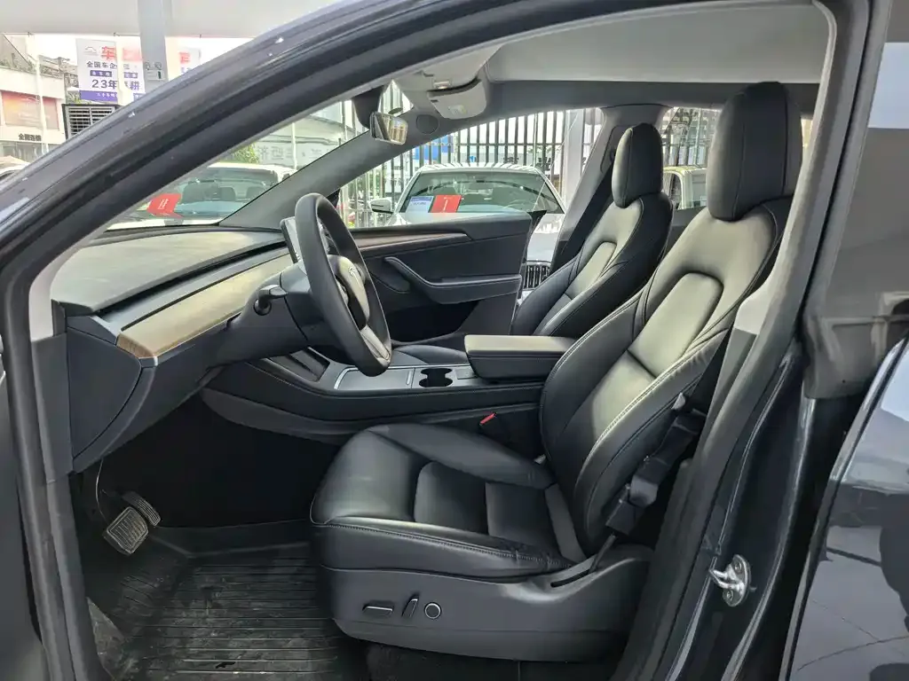 Tesla Model Y 2021 из CN, фото 6