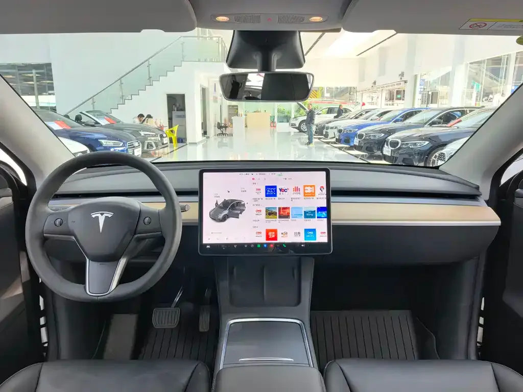 Tesla Model Y 2021 из CN, фото 9