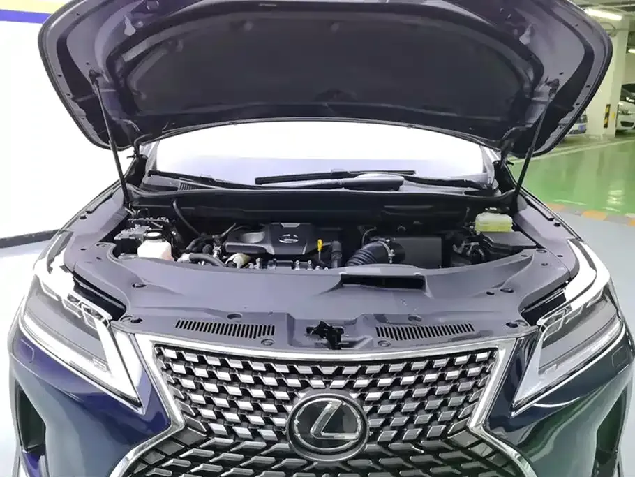 Lexus RX — фото 10