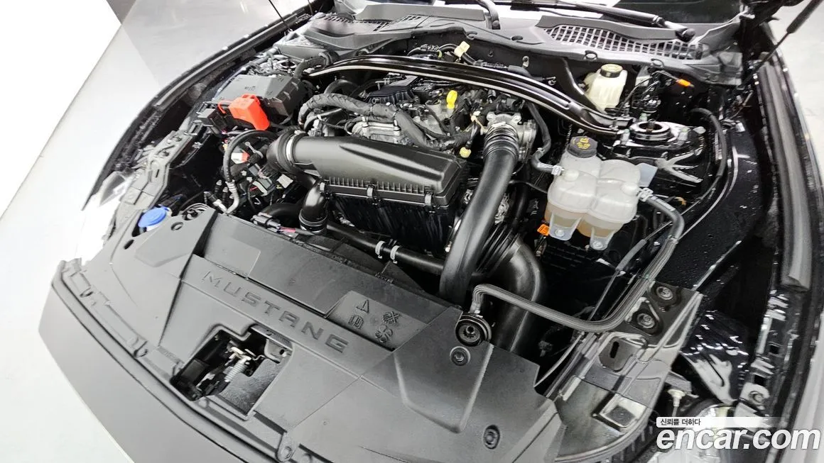 Ford Mustang 2024 из KR, фото 6