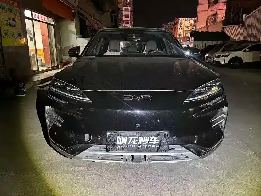 BYD PLUS New Energy 2025 из CN, фото 2
