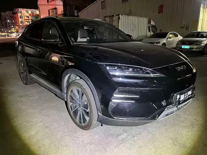 BYD PLUS New Energy 2025 из CN, фото 3