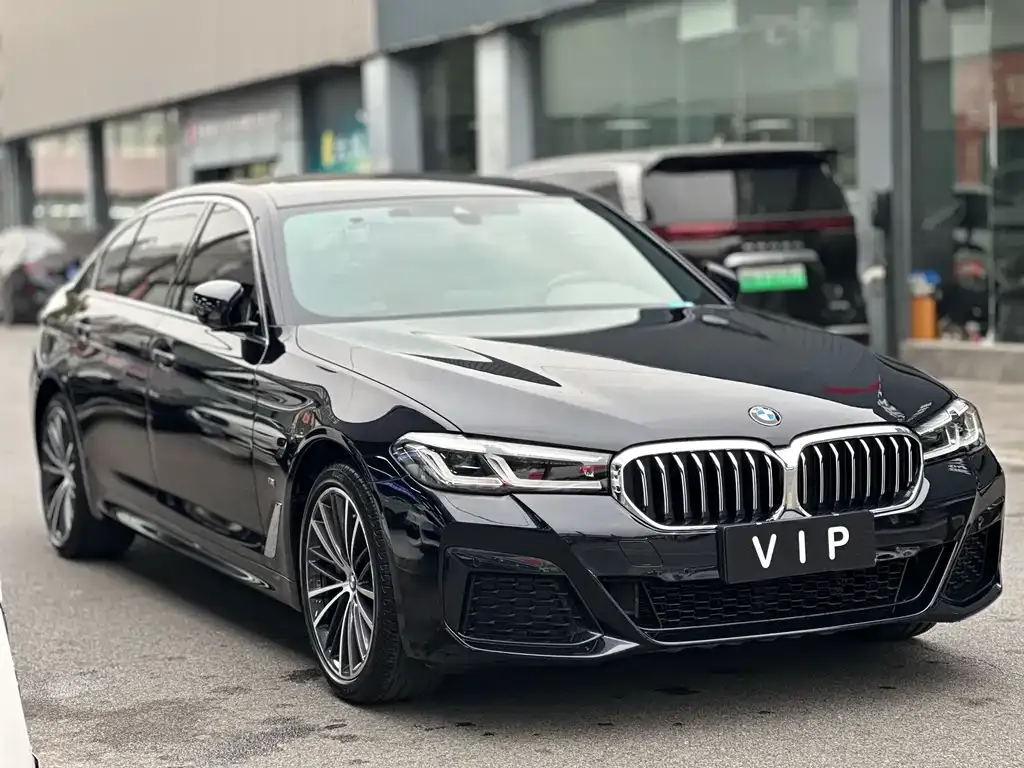 BMW 5 Series 2022 из CN, фото 3
