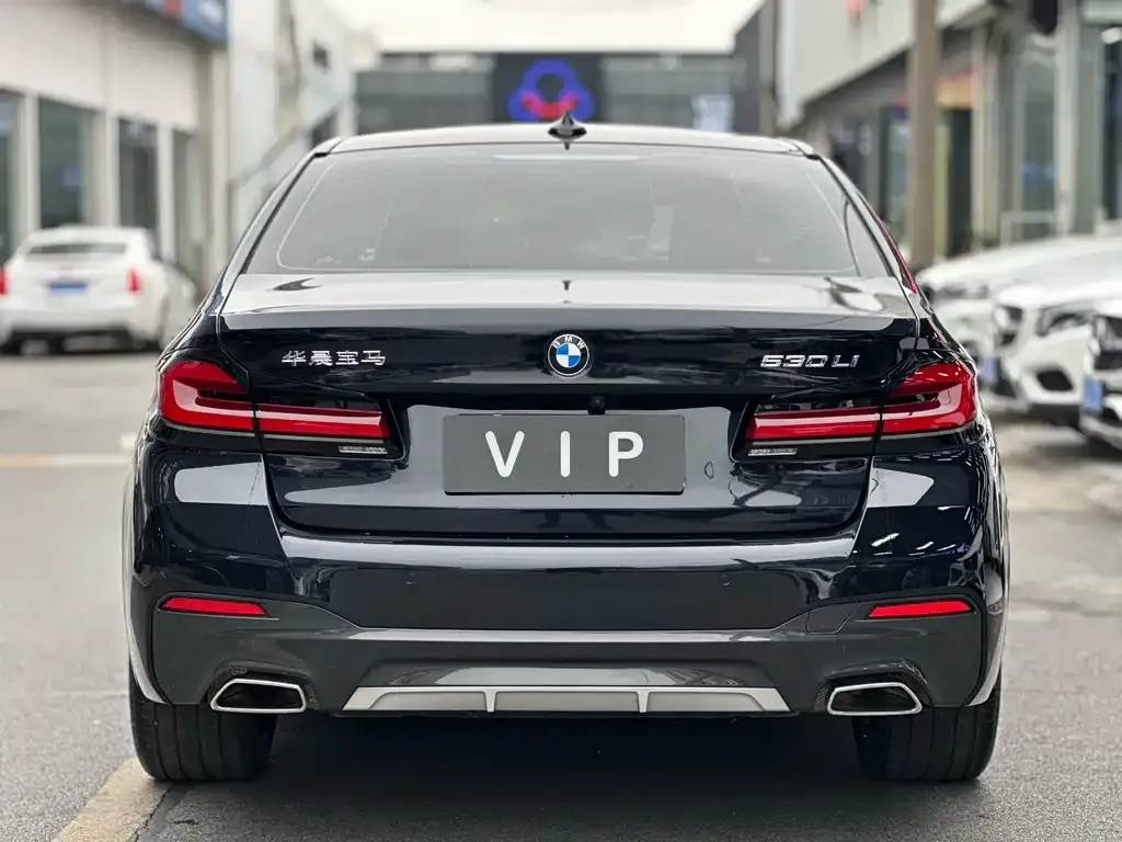 BMW 5 Series 2022 из CN, фото 4