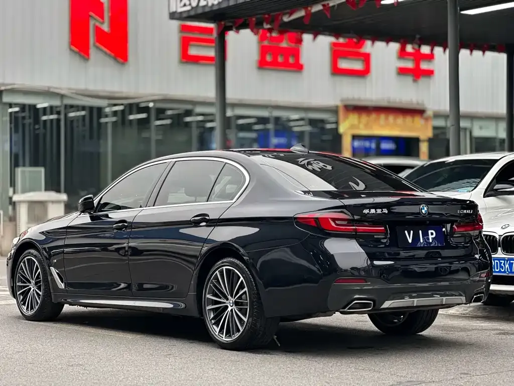 BMW 5 Series 2022 из CN, фото 5