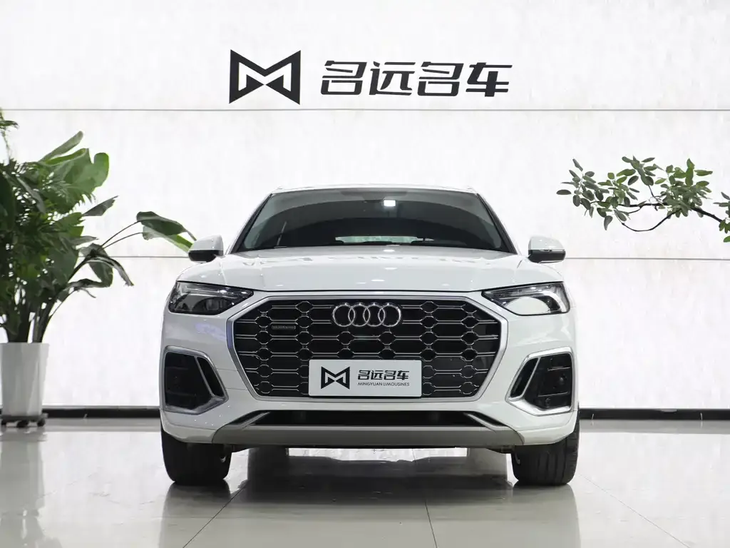 Audi Q5L 2021 из CN, фото 2