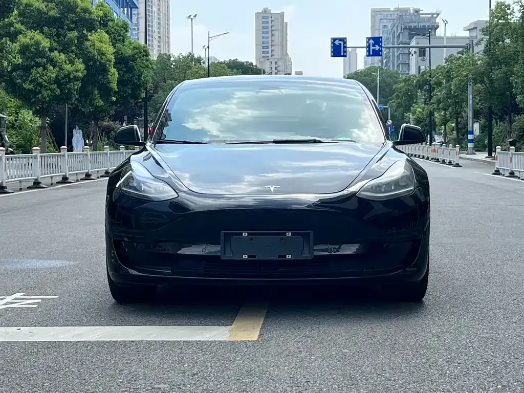 Tesla Model 3 2023 из CN, фото 2