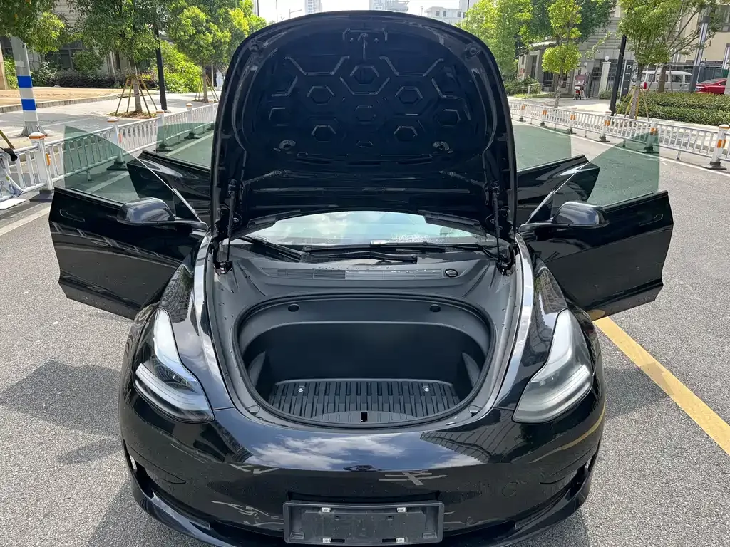 Tesla Model 3 2023 из CN, фото 9