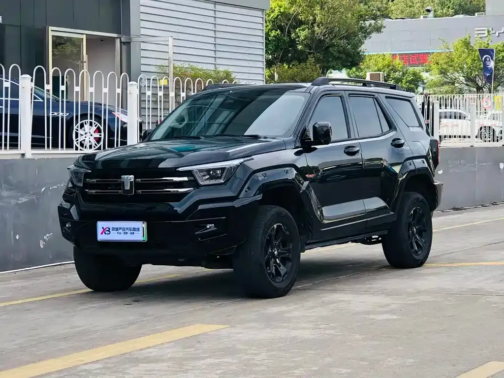 Tank 400 New Energy 2024 из CN, фото 1
