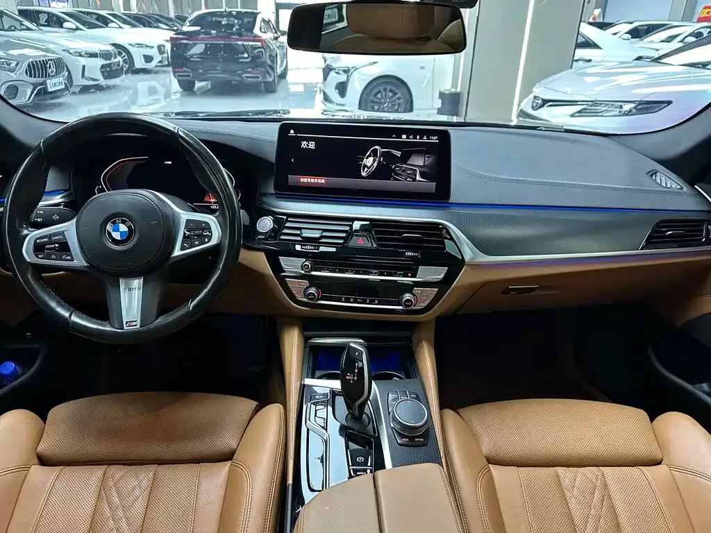 BMW 5 Series (Import) 2022 из CN, фото 7