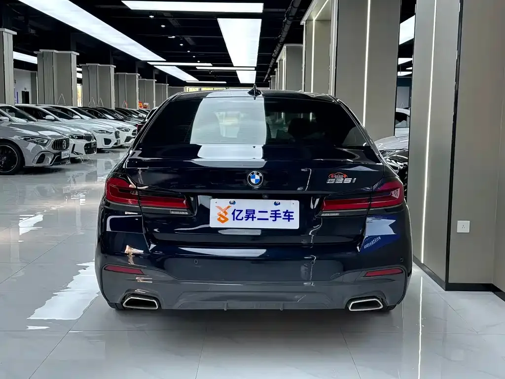 BMW 5 Series (Import) 2022 из CN, фото 8