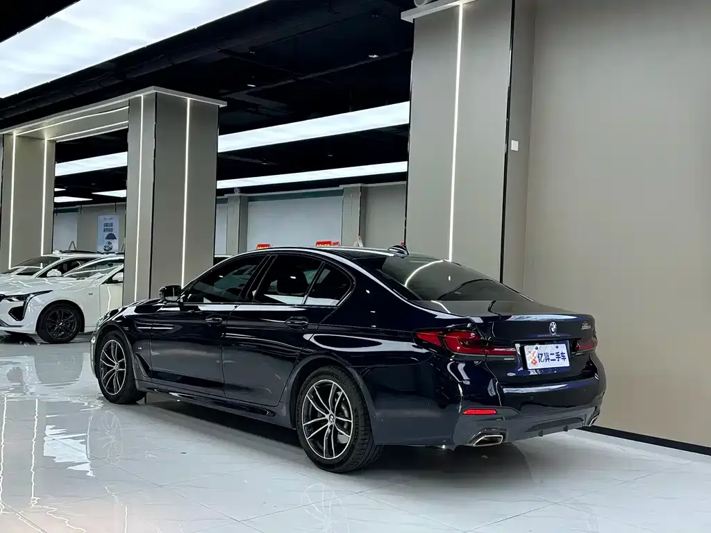 BMW 5 Series (Import) 2022 из CN, фото 9