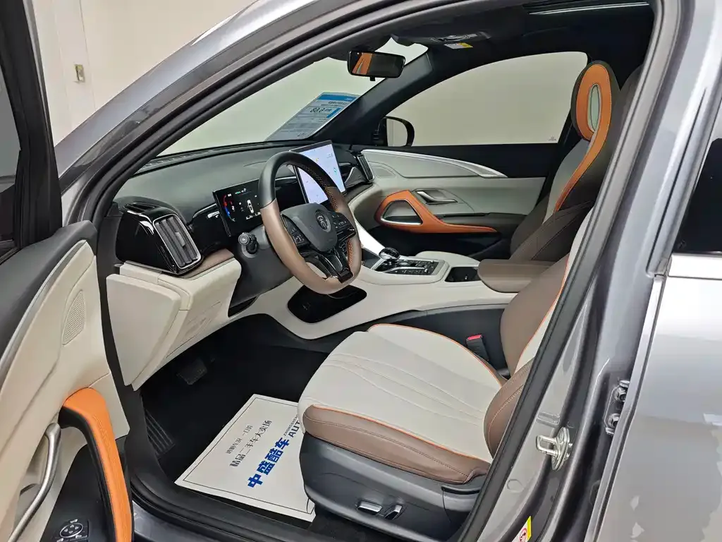 BYD Pro New Energy 2023 из CN, фото 9