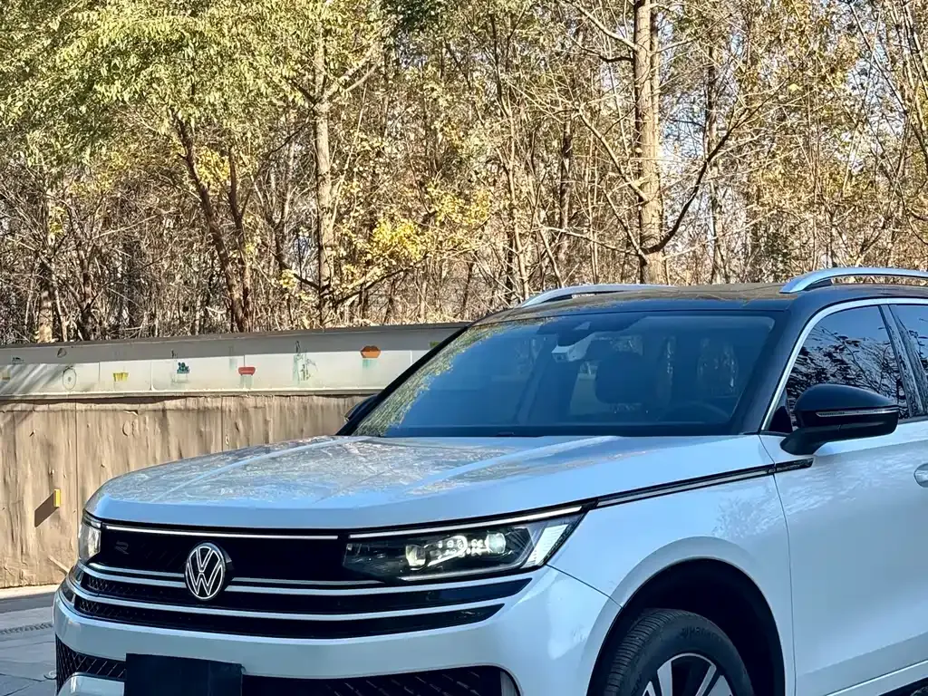 Volkswagen Tavendor 2024 из CN, фото 2