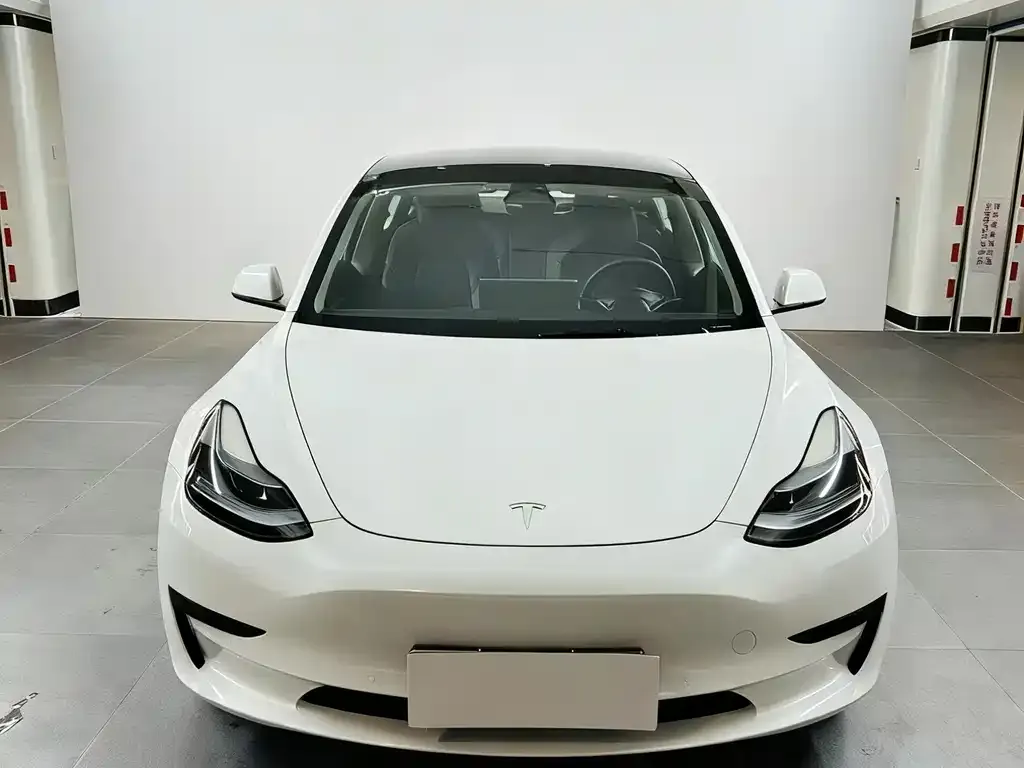 Tesla Model 3 2022 из CN, фото 2