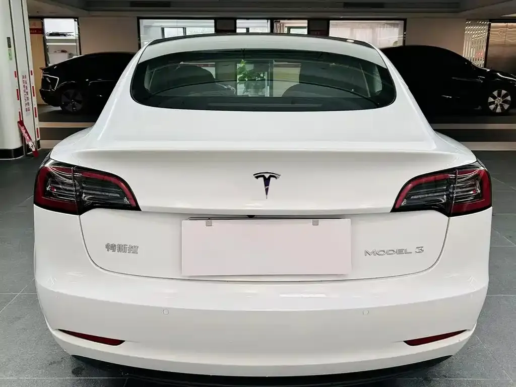 Tesla Model 3 2022 из CN, фото 6