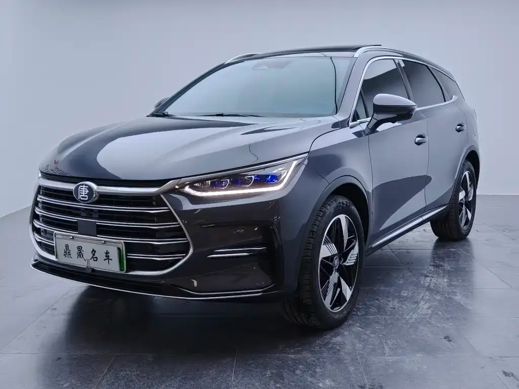 BYD Tang New Energy 2023 из CN, фото 1