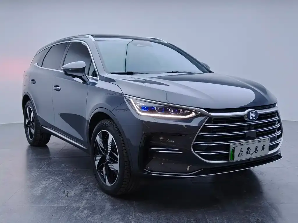 BYD Tang New Energy 2023 из CN, фото 3