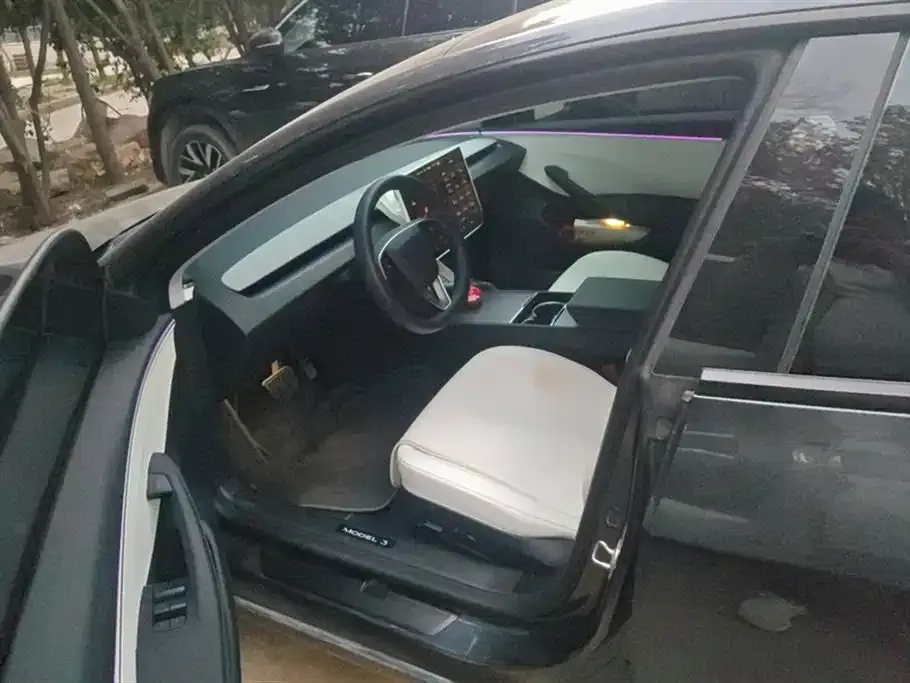 Tesla Model 3 2024 из CN, фото 9