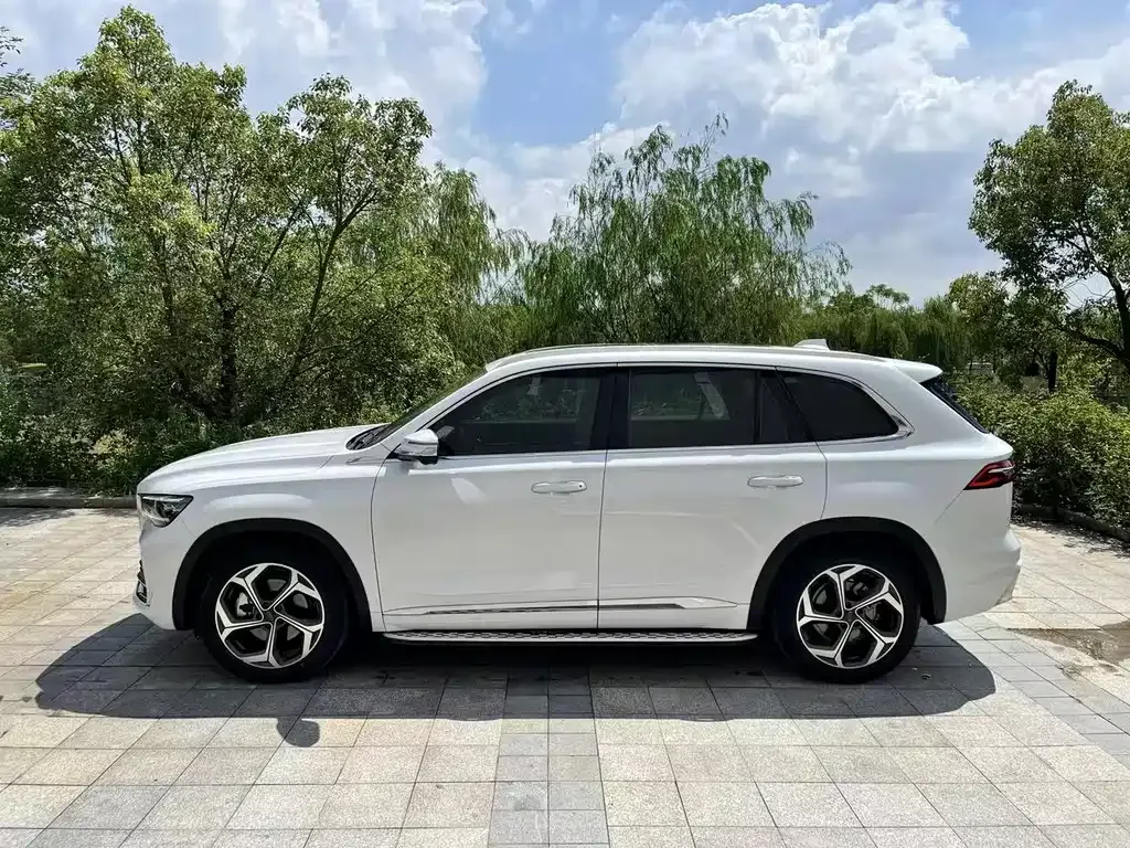 Geely Xingyue L 2023 из CN, фото 5