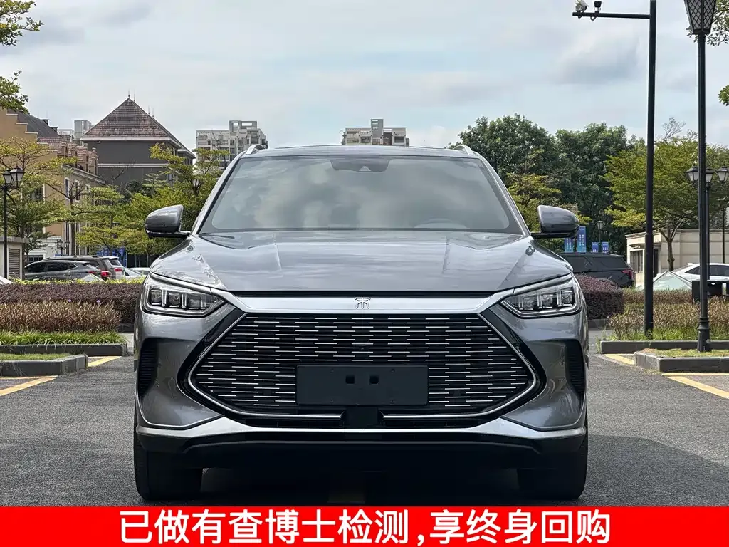 BYD PLUS New Energy 2021 из CN, фото 2