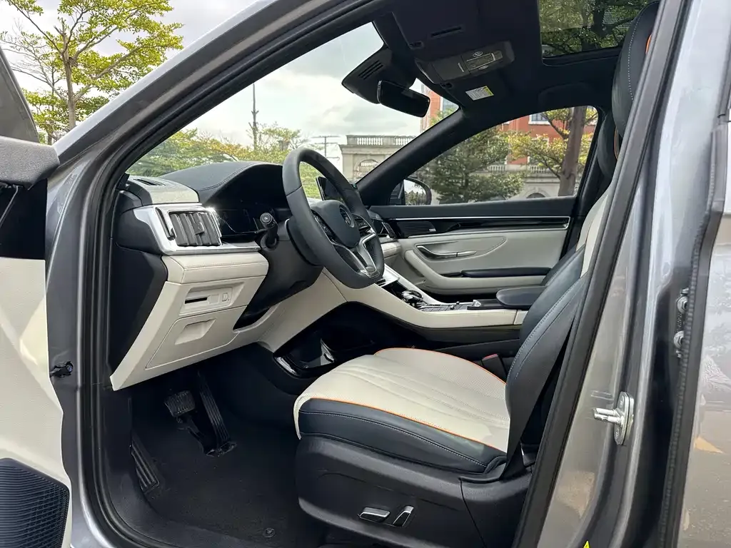 BYD PLUS New Energy 2021 из CN, фото 7