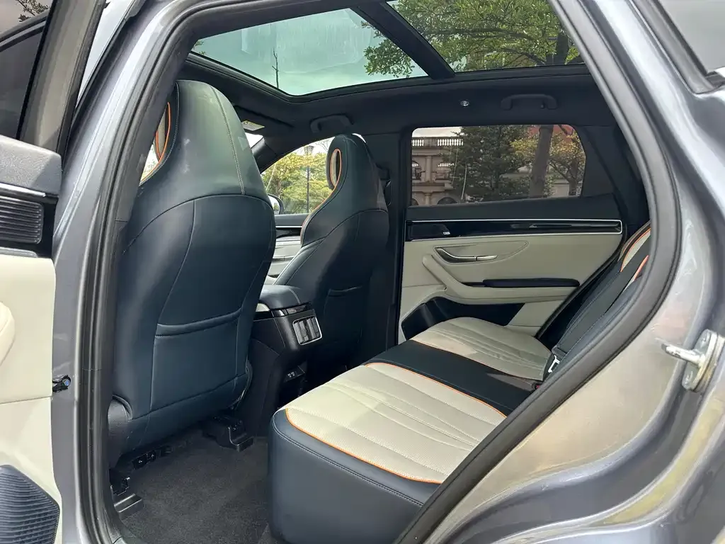 BYD PLUS New Energy 2021 из CN, фото 8