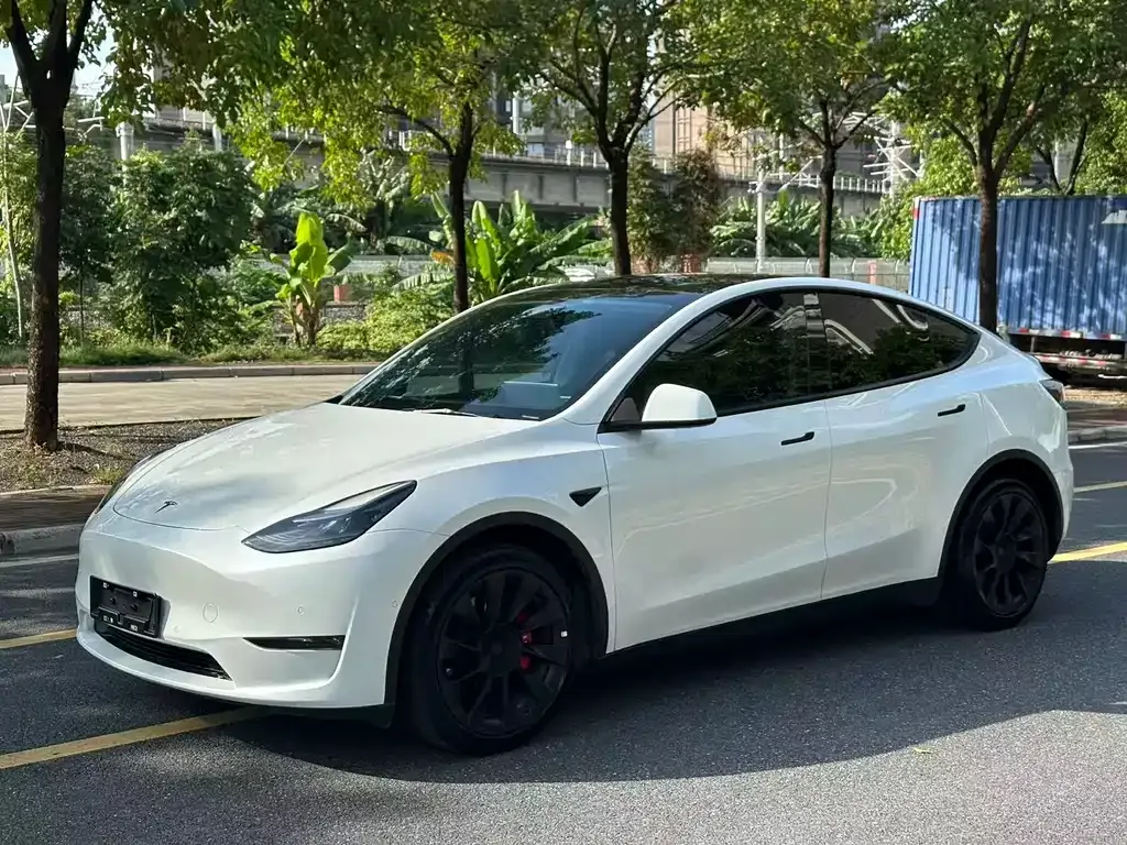 Tesla Model Y 2023 из CN, фото 1