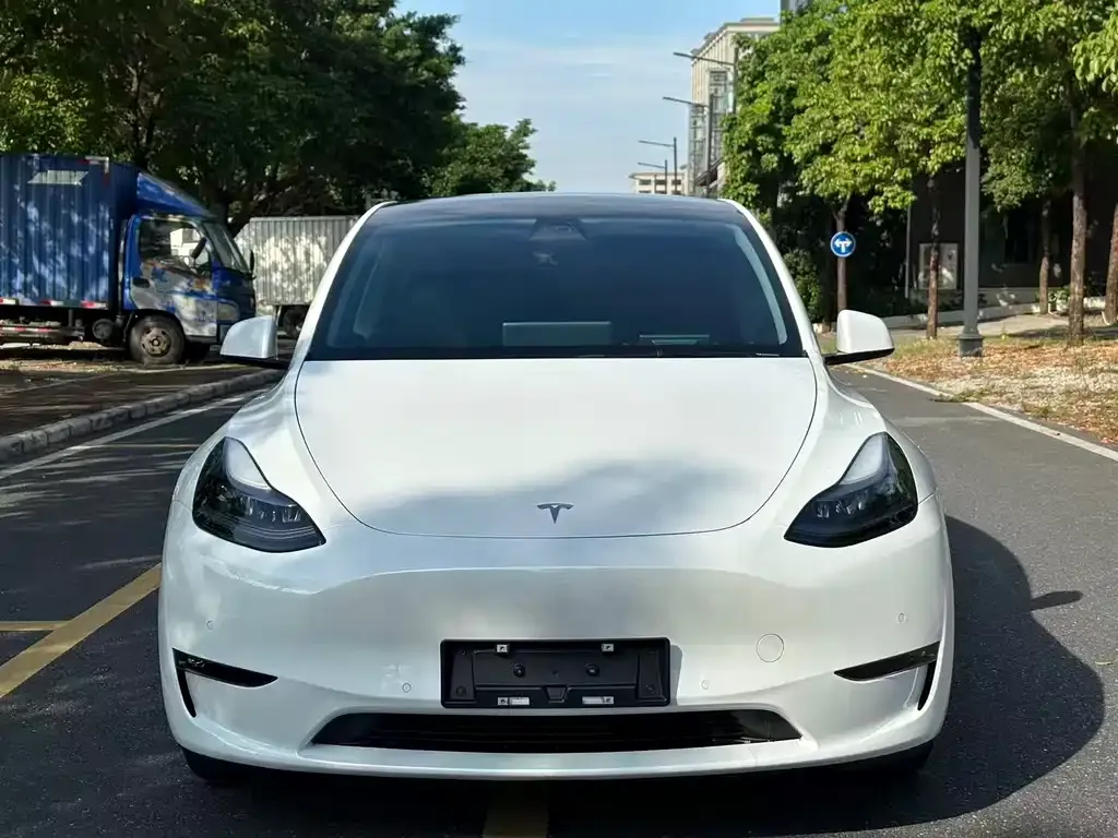 Tesla Model Y 2023 из CN, фото 2