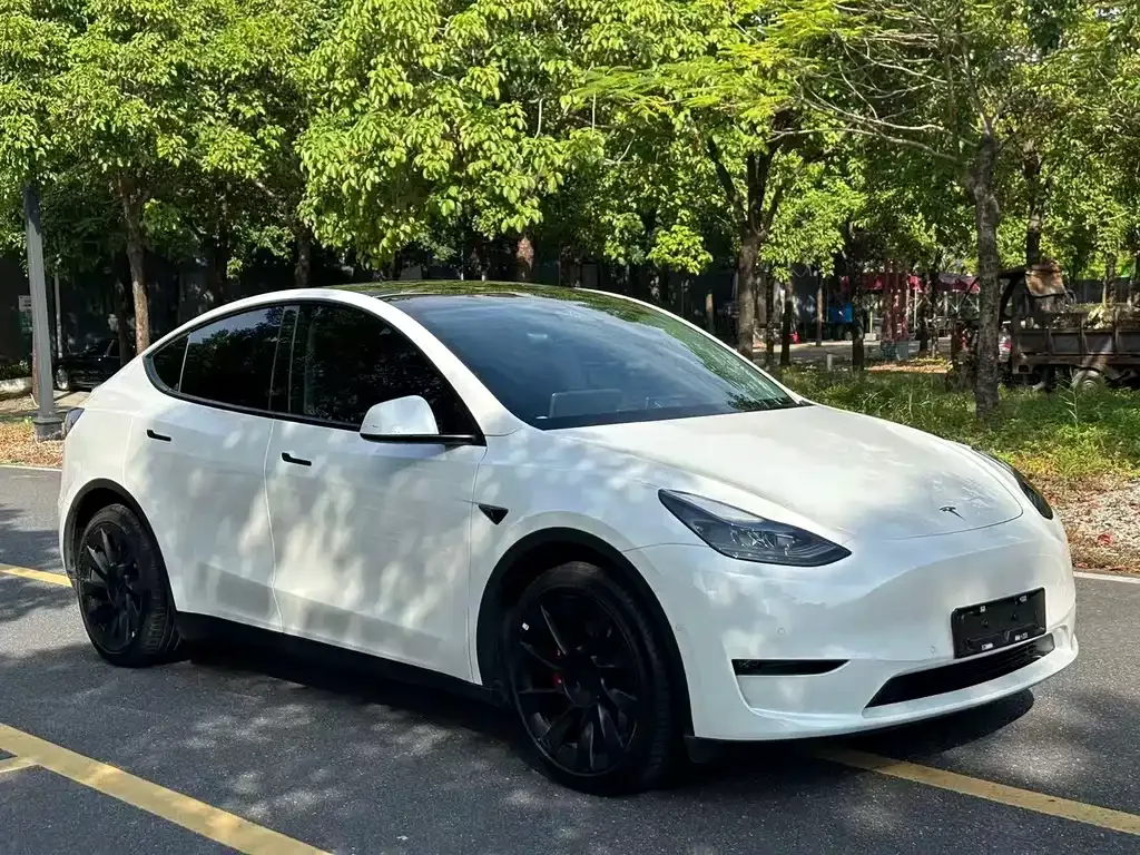 Tesla Model Y 2023 из CN, фото 3