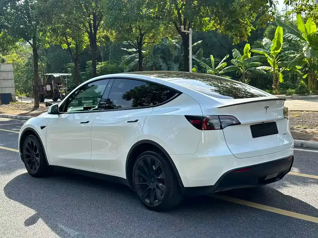 Tesla Model Y 2023 из CN, фото 7