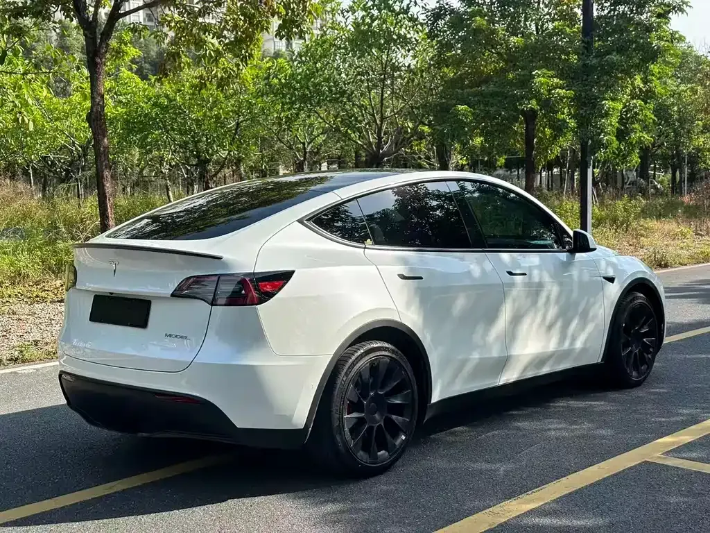 Tesla Model Y 2023 из CN, фото 8