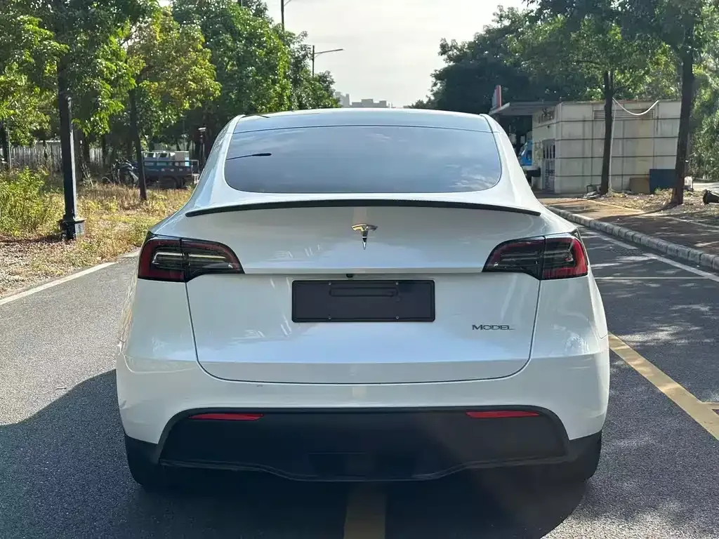 Tesla Model Y 2023 из CN, фото 9