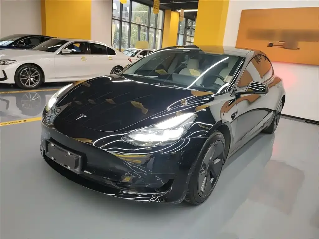 Tesla Model 3 2021 из CN, фото 1