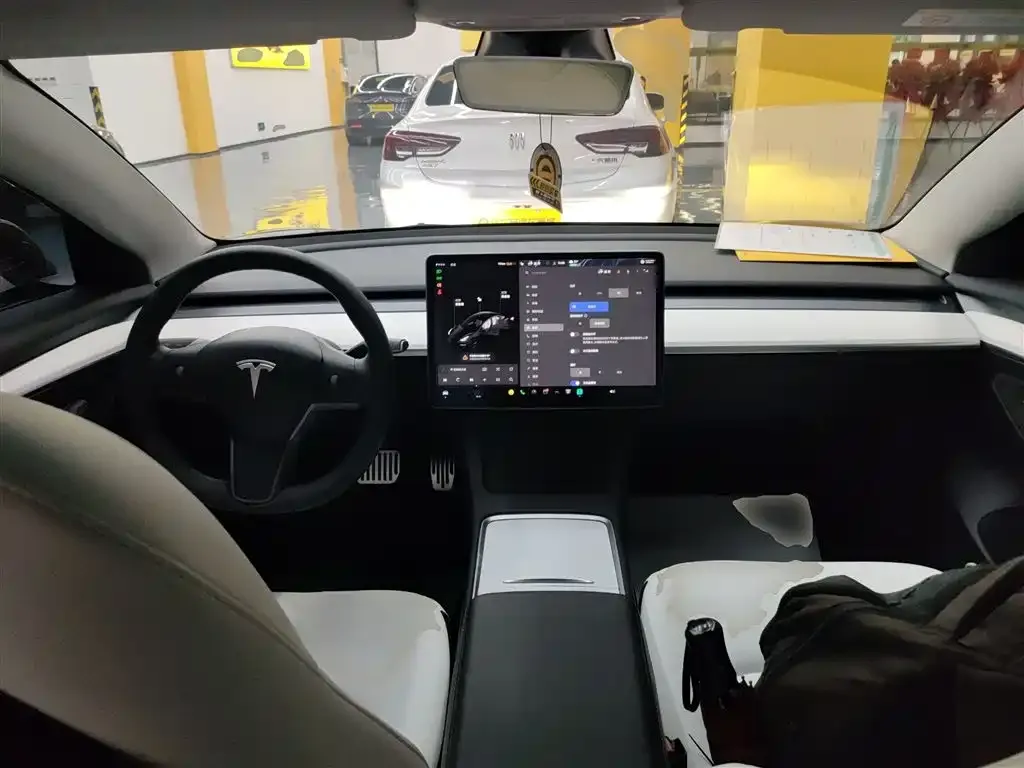 Tesla Model 3 2021 из CN, фото 10