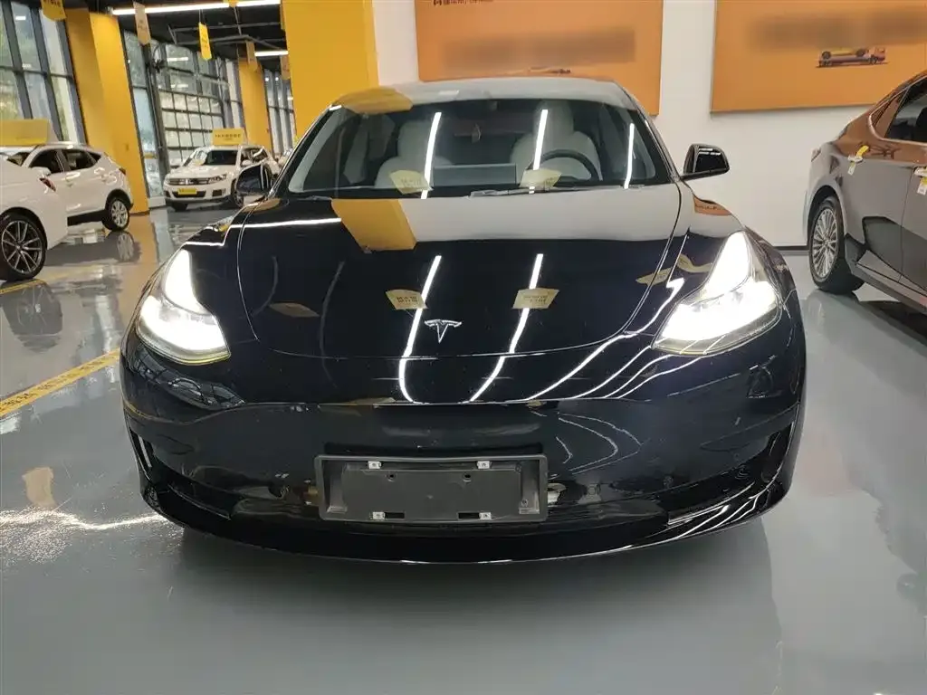 Tesla Model 3 2021 из CN, фото 3