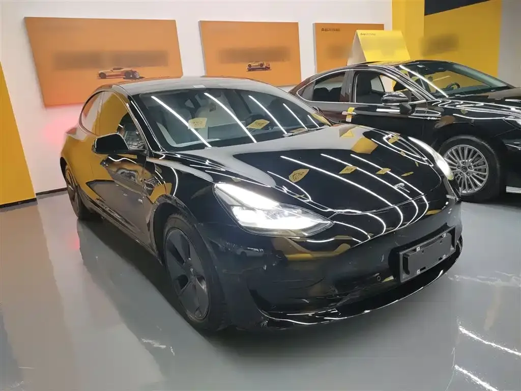 Tesla Model 3 2021 из CN, фото 4