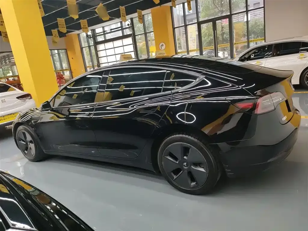 Tesla Model 3 2021 из CN, фото 5