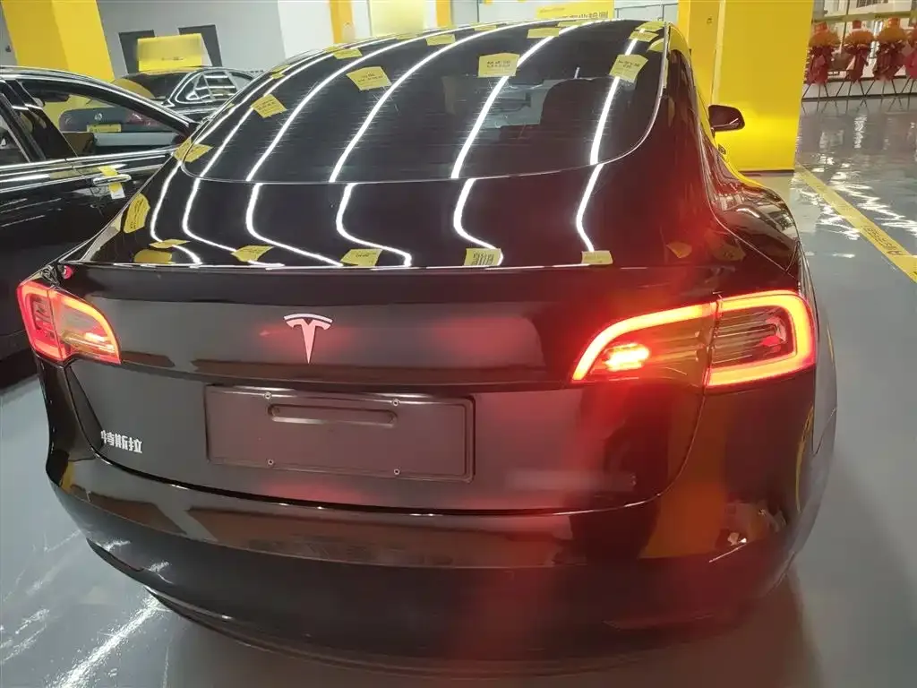 Tesla Model 3 2021 из CN, фото 6