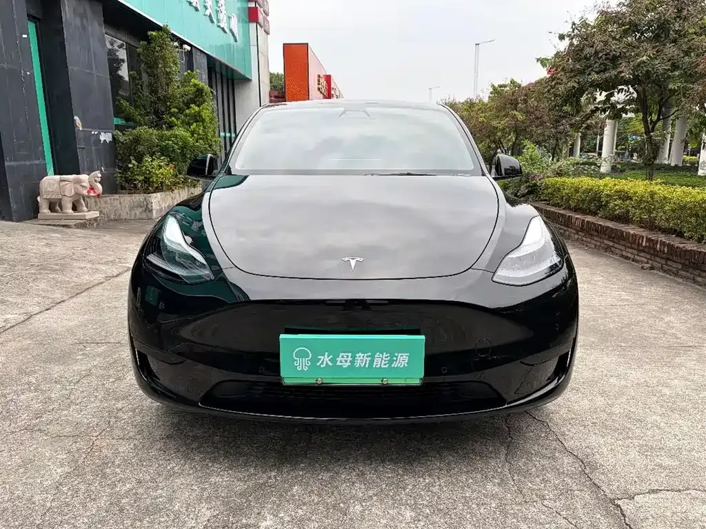 Tesla Model Y 2023 из CN, фото 2