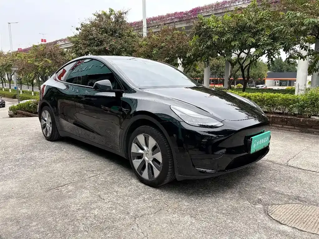 Tesla Model Y 2023 из CN, фото 3