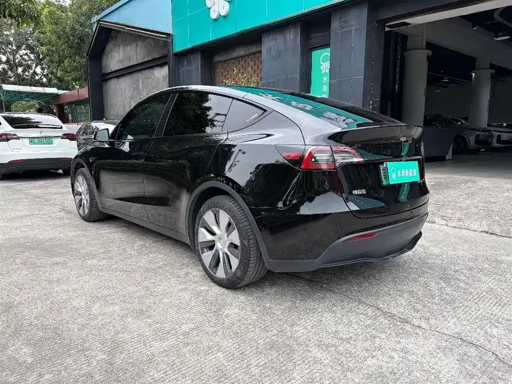 Tesla Model Y 2023 из CN, фото 6