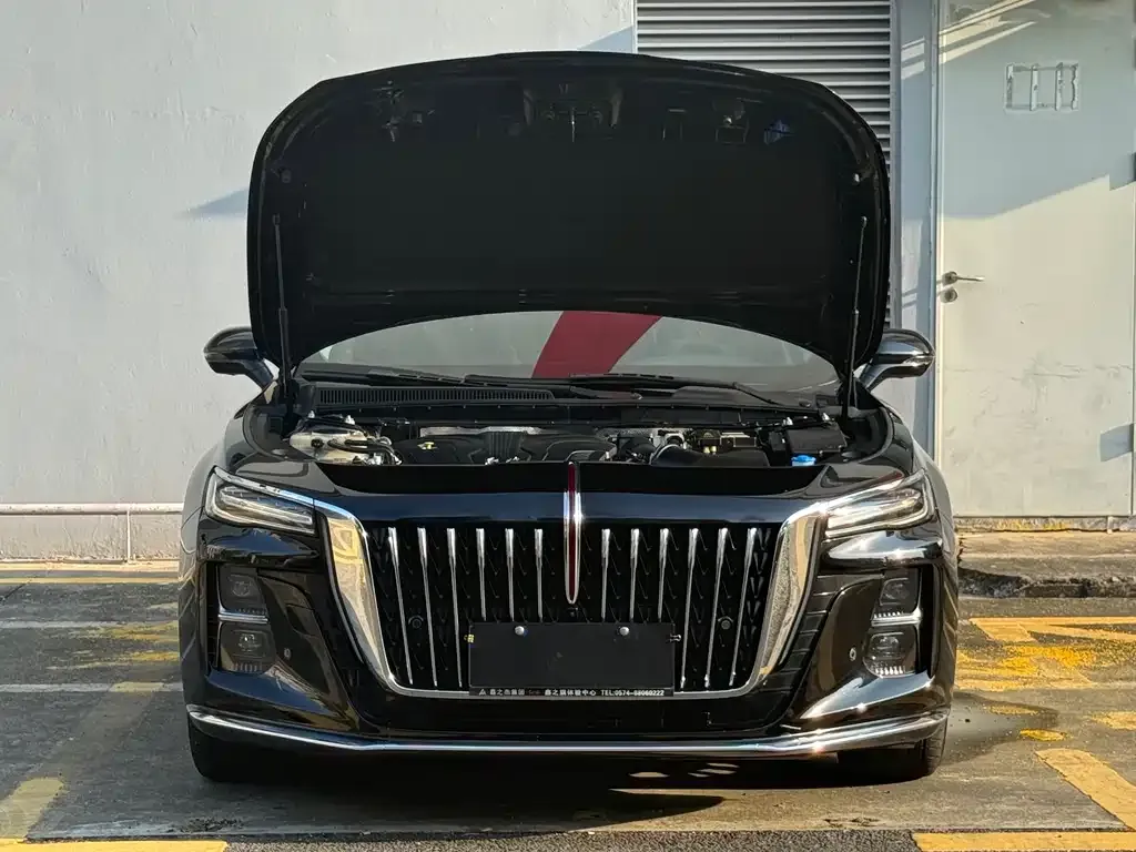Hongqi H5 2023 из CN, фото 9