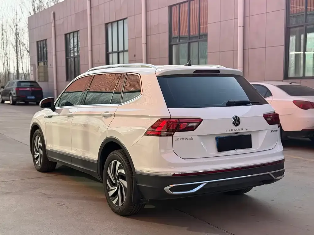 Volkswagen Tiguan L 2024 из CN, фото 4