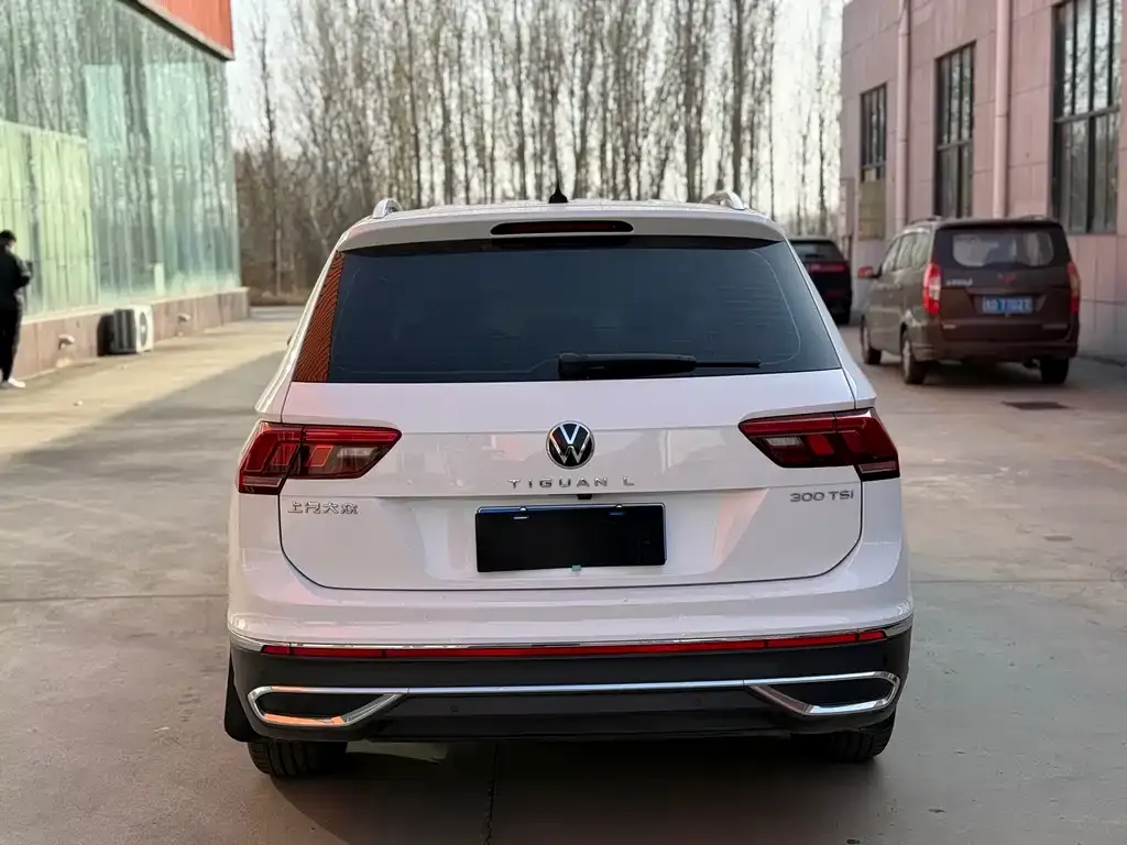 Volkswagen Tiguan L 2024 из CN, фото 5