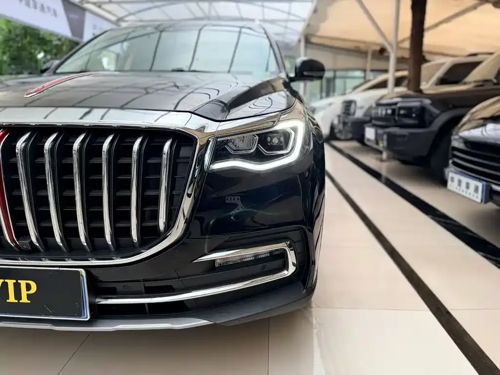 Hongqi HS7 2023 из CN, фото 3