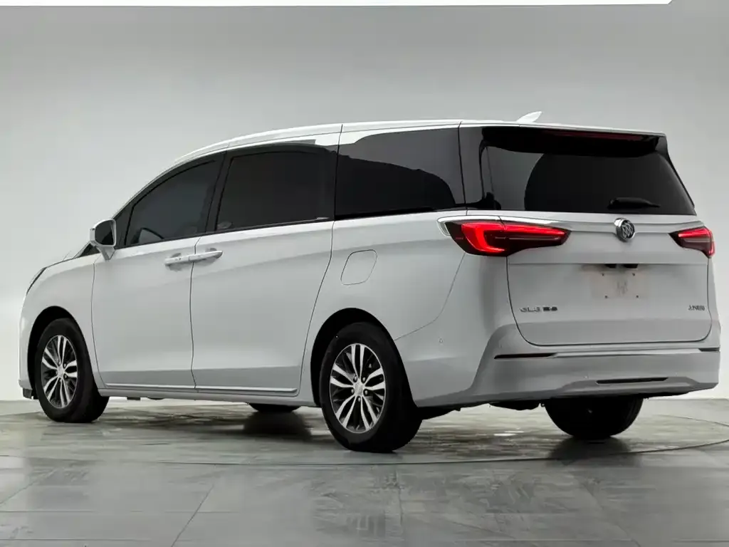 Buick GL8 2023 из CN, фото 6